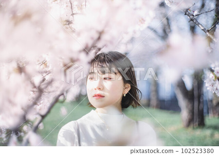 Cherry blossoms in the blue sky and a woman full of transparency 102523380