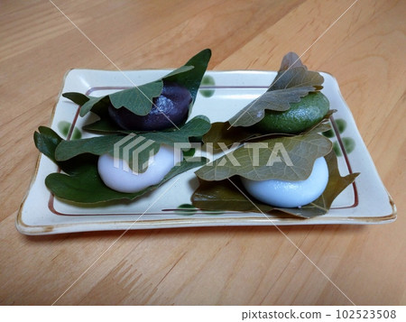 4 Kinds of Kashiwamochi 4 Kinds of Kashiwamochi 102523508