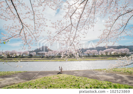 Two beautiful women and cherry blossoms Two beautiful women and cherry blossoms 102523869