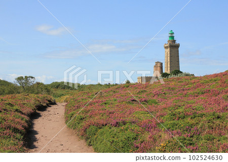 Trail leading trough flowers towards the lighthouse of Cap Frehel. 102524630