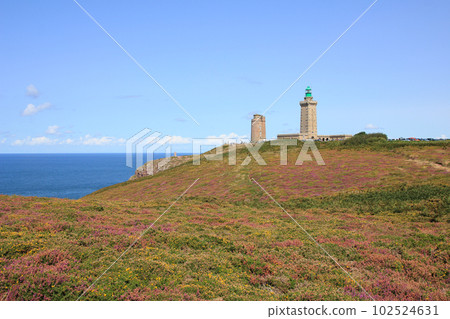 Old lighthouse and meadow full of flowers at Cap Frehel, Brittany. 102524631