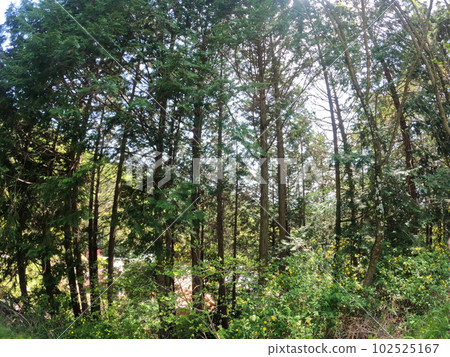 Iida City, Nagano Prefecture Deep in the mountains 102525167