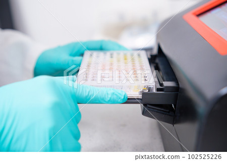 To perform microbiological analysis on multiple samples, a scientist inserts a microplate into a microplate spectrophotometer for biological analysis. 102525226
