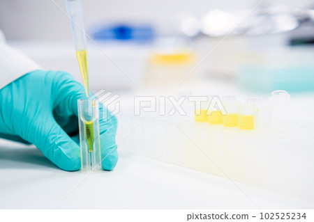 Filling the microcuvette with yellow solution by automatic pipette in chemical laboratory by scientist. Filling the microcuvette with yellow solution by automatic pipette in chemical laboratory by scientist. 102525234