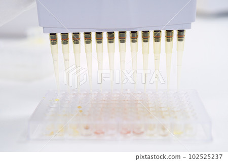 Scientist uses multichannel pipette dispenser to pour liquid into glass tubes on wooden table. Worker does urine test in scientific laboratory closeup 102525237