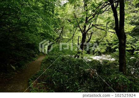 Sandankyo The view from the promenade between Mizunashi parking lot and Kurobuchi 102525924