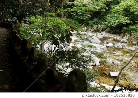 Sandankyo The view from the promenade between Mizunashi parking lot and Kurobuchi Sandankyo The view from the promenade between Mizunashi parking lot and Kurobuchi 102525926