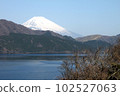 Mt. Fuji from Lake Ashinoko 102527063