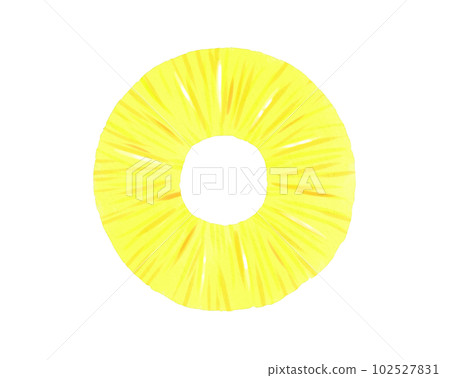 Sliced pineapple Sliced pineapple 102527831