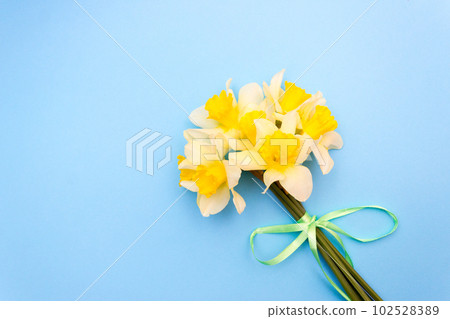 bouquet of yellow daffodils on a blue background, spring concept bouquet of yellow daffodils on a blue background, spring concept 102528389
