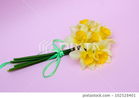 bouquet of yellow daffodils, spring gift concept 102528401