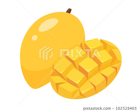 Illustration of mango 102528403