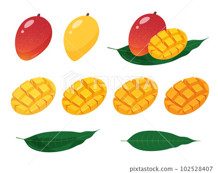 Mango illustration material set 102528407