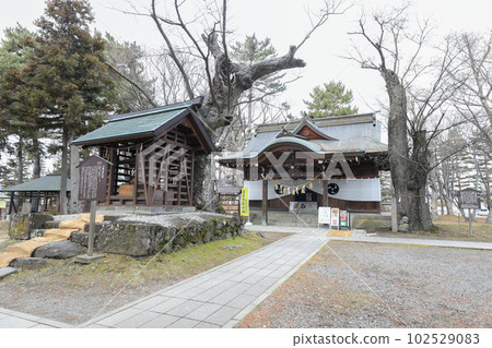 長野縣 長野市 冬季八幡神社 長野縣 長野市 冬季八幡神社 102529083