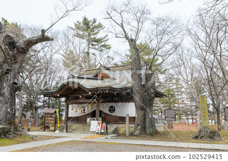 Nagano Prefecture Nagano City Winter Hachiman Shrine 102529415