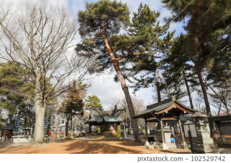 長野縣 長野市 冬季八幡神社 102529742