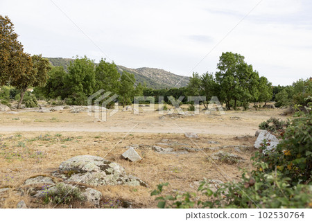 Mountains. Views of some rocky mountains with a field full of green trees and land with a cloudy sky. Horizontal photography. 102530764