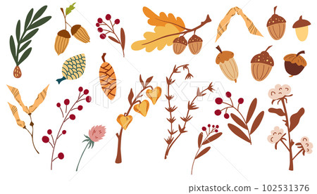 Autumn forest floral set. Forest herbs and Acorns, Pine Cones, Dry Branches. Wild botanical set. Coniferous and deciduous. For sticker, postcard, invitation, website. Vector cartoon illustration. Autumn forest floral set. Forest herbs and Acorns, Pine Cones, Dry Branches. Wild botanical set. Coniferous and deciduous. For sticker, postcard, invitation, website. Vector cartoon illustration. 102531376