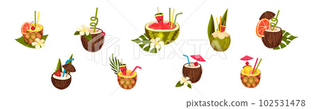 Coconut, Pineapple and Watermelon Cocktail in Half Fruit with Straw Vector Set Coconut, Pineapple and Watermelon Cocktail in Half Fruit with Straw Vector Set 102531478