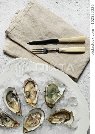 Opened oysters on a plate with ice 102533326