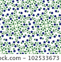 vector, pattern, berries 102533673
