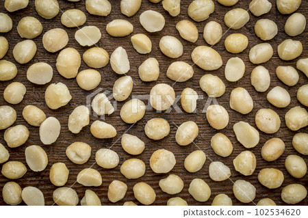 background texture of shelled macadamia nuts on rustic weathered wood - top view 102534620