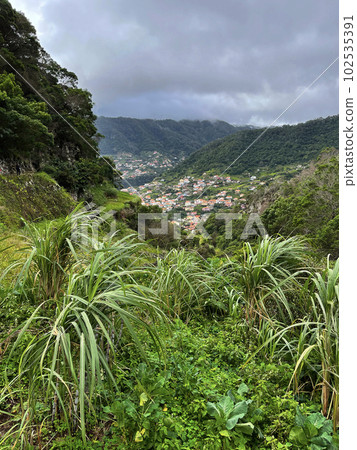Small town in the in tropical vegetation Small town in the in tropical vegetation 102535391