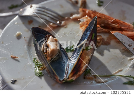 Mussels open on a dinner plate Mussels open on a dinner plate 102535531
