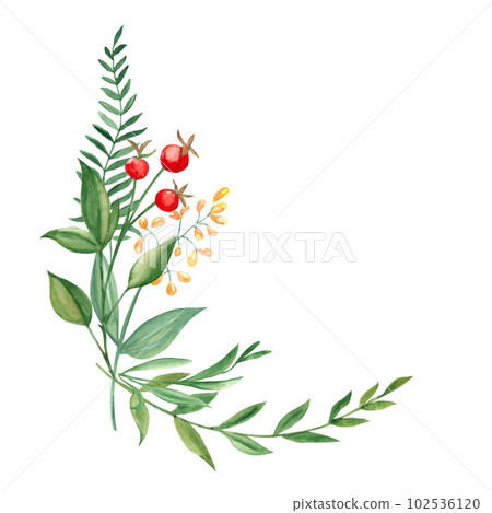 Watercolor summer bouquet of green branches, wildflowers and red berries. Botanical hand drawn illustration. Can be used for greeting cards, invitations, floral design. Watercolor summer bouquet of green branches, wildflowers and red berries. Botanical hand drawn illustration. Can be used for greeting cards, invitations, floral design. 102536120