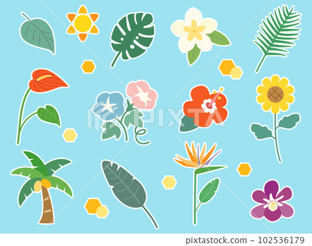 Illustration set of summer flowers such as sunflowers and hibiscus, plants and leaves Simple version with white border 102536179