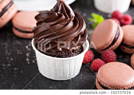 Chocolate cupcakes with thick and glossy frosting 102537016