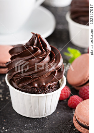 Chocolate cupcakes with thick and glossy frosting 102537017