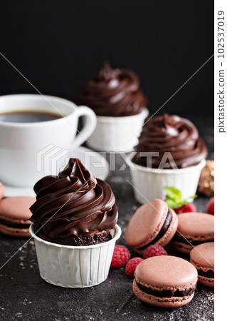 Chocolate cupcakes with thick and glossy frosting Chocolate cupcakes with thick and glossy frosting 102537019