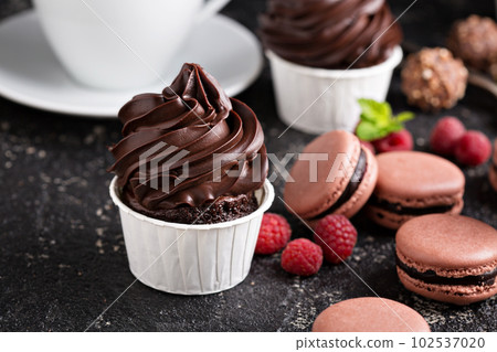 Chocolate cupcakes with thick and glossy frosting 102537020