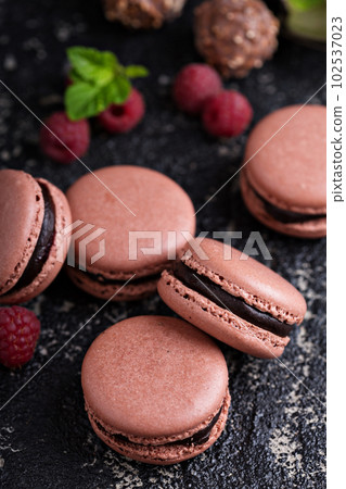 Chocolate and raspberry french macarons with ganache filling Chocolate and raspberry french macarons with ganache filling 102537023