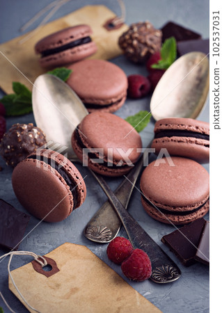 Chocolate french macarons with ganache filling 102537031