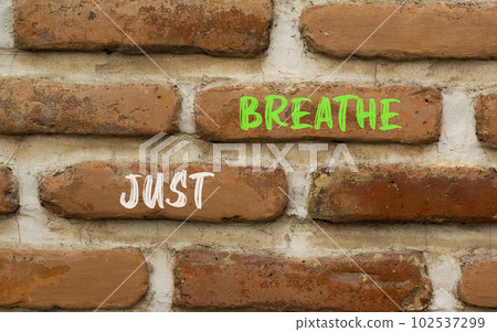 Just breathe and psychological symbol. Concept words Just breathe on beautiful red brown brick wall on beautiful red brown brick wall background. Business psychological Just breathe concept Copy space Just breathe and psychological symbol. Concept words Just breathe on beautiful red brown brick wall on beautiful red brown brick wall background. Business psychological Just breathe concept Copy space 102537299
