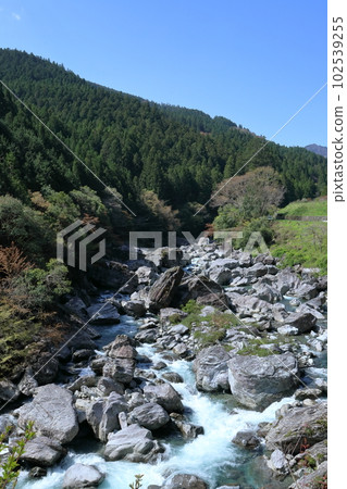 從吊橋看溪流（高知縣土佐町瀨戶川取水堰上游） 102539255