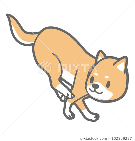 Shiba Inu 著陸的矢量圖解 102539257