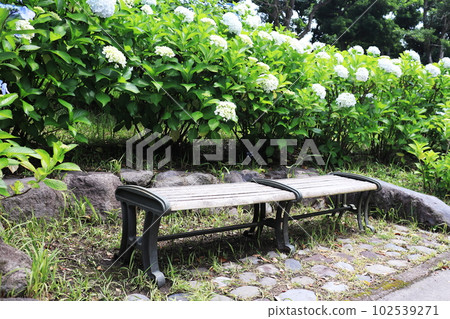 繡球花環繞的長凳 繡球花環繞的長凳 102539271