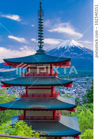 (Yamanashi Prefecture) Mt. Fuji evening view from Arakurayama Sengen Park, the beauty of Japan's fresh greenery 102540351