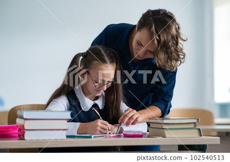 The teacher explains the task to the schoolgirl in the classroom. 102540513