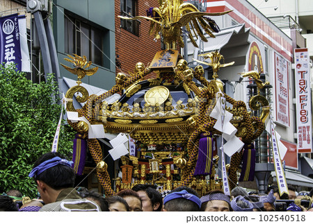 Asakusa Sanja Festival Mikoshi Togyo Chonai Mikoshi Rengo Togyo 102540518
