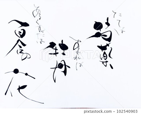 站著一株牡丹,坐著一株牡丹。 站著一株牡丹,坐著一株牡丹。 102540903