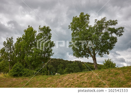 Tree on a hill landscape with clouds Tree on a hill landscape with clouds 102541533
