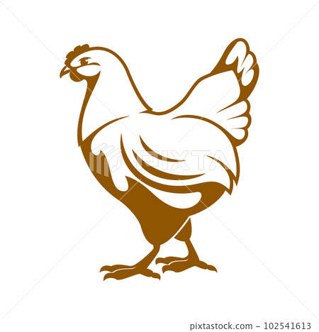 Hen icon. Chicken farm and poultry meat market emblem. Domestic bird farm graphic icon, livestock agriculture vintage symbol or poultry meat production company vector icon with hen Hen icon. Chicken farm and poultry meat market emblem. Domestic bird farm graphic icon, livestock agriculture vintage symbol or poultry meat production company vector icon with hen 102541613