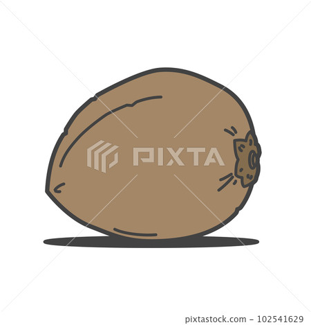 從樹上掉下來的椰子、棕櫚樹和有外皮的椰子 102541629