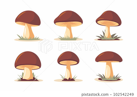 Vector Hand Drawn Cartoon Flat Mushroom Icon Set Isolated on White. Brown Edible Boletus Mushroom Illustration, Mushrooms Collection. Magic Mushroom Symbol, Design Template Vector Hand Drawn Cartoon Flat Mushroom Icon Set Isolated on White. Brown Edible Boletus Mushroom Illustration, Mushrooms Collection. Magic Mushroom Symbol, Design Template 102542249