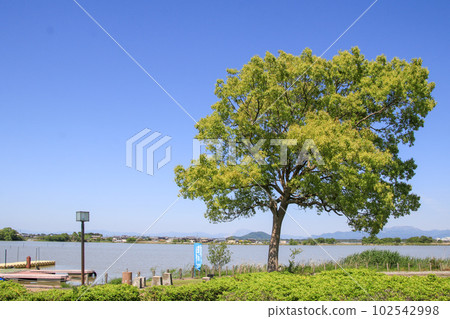 Notogawa Mill和Cano Land Notogawa Mill和Cano Land 102542998