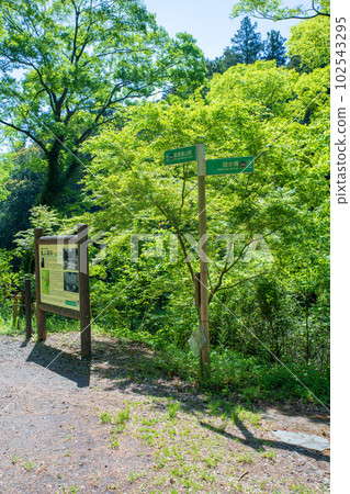 Along the Arashiyama Valley, information signs, fresh green scenery, Musashi's Little Kyoto Along the Arashiyama Valley, information signs, fresh green scenery, Musashi's Little Kyoto 102543295